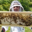 Beekeeping (3)