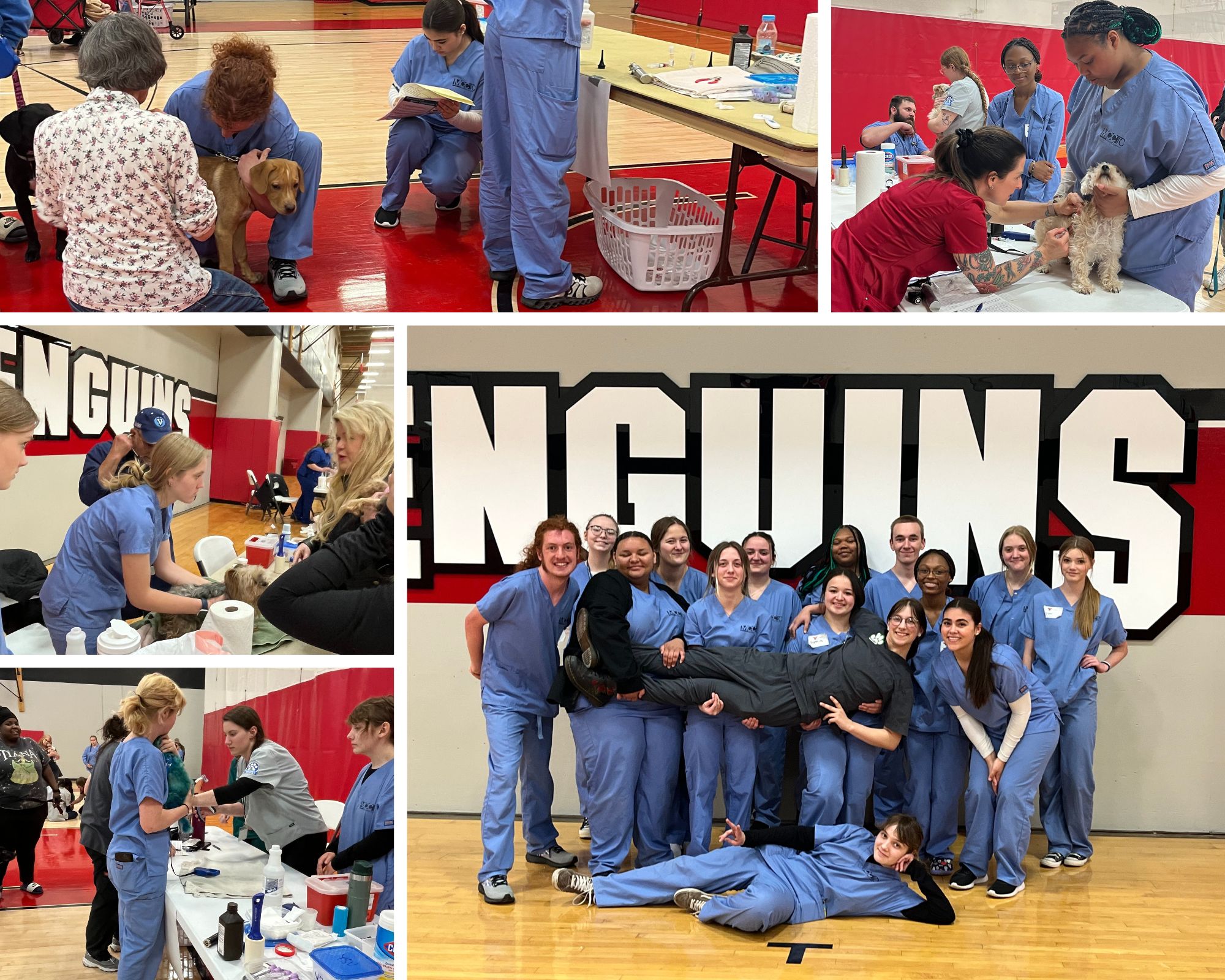 Animal Science Students Assist the YSU Vet Clinic